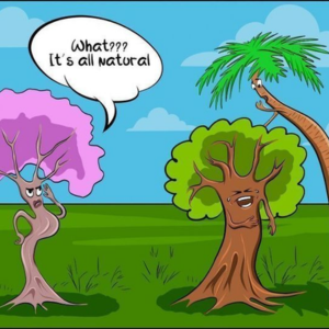 tree jokes